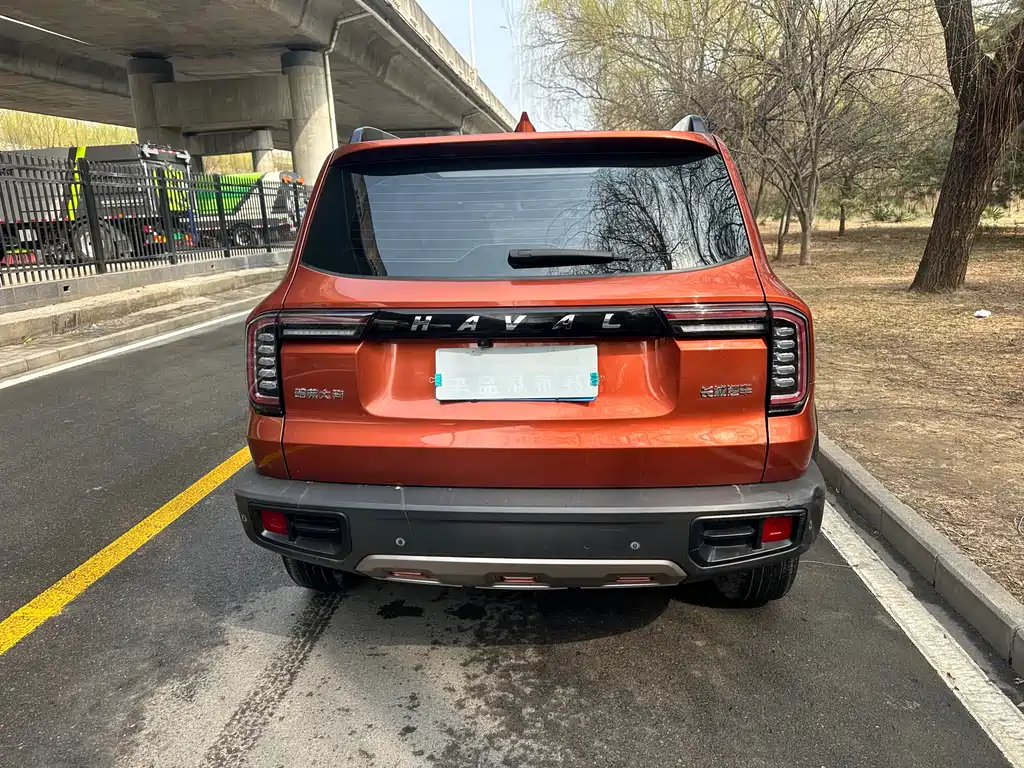 Haval Big Dog 2021 — фото 15