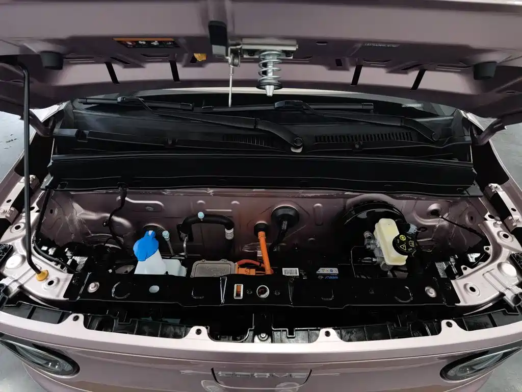 Geely Galaxy Panda 2025