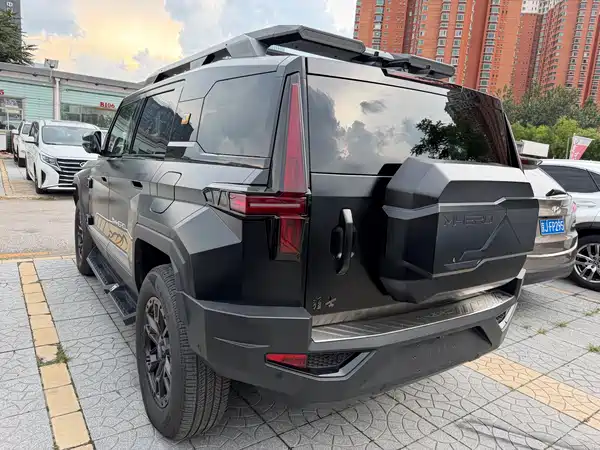 Mengshi 917 2024