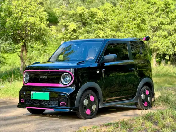 Geely Galaxy Panda 2024