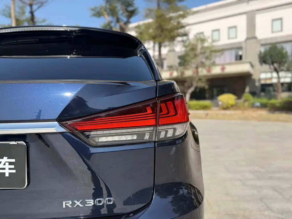 Lexus RX 2020 — фото 17