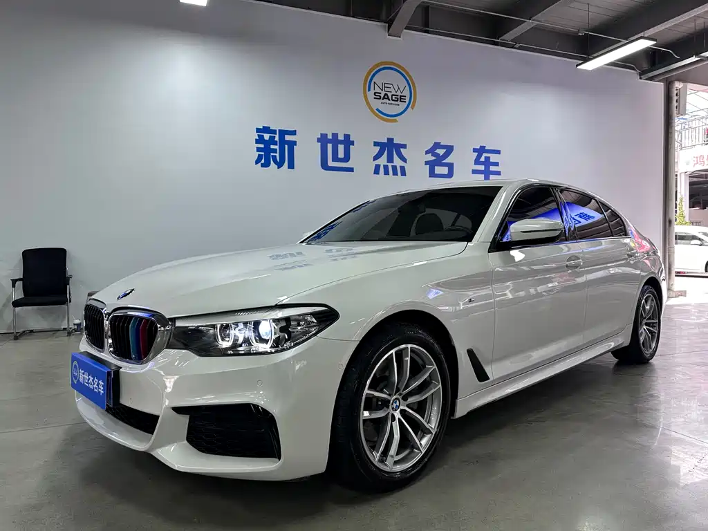 BMW 5 Series 2019 — фото 1