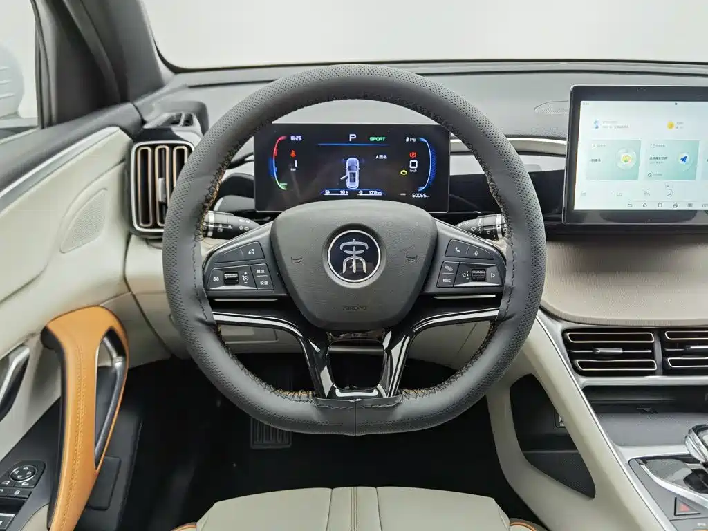 BYD Song Pro New Energy 2022 — фото 11