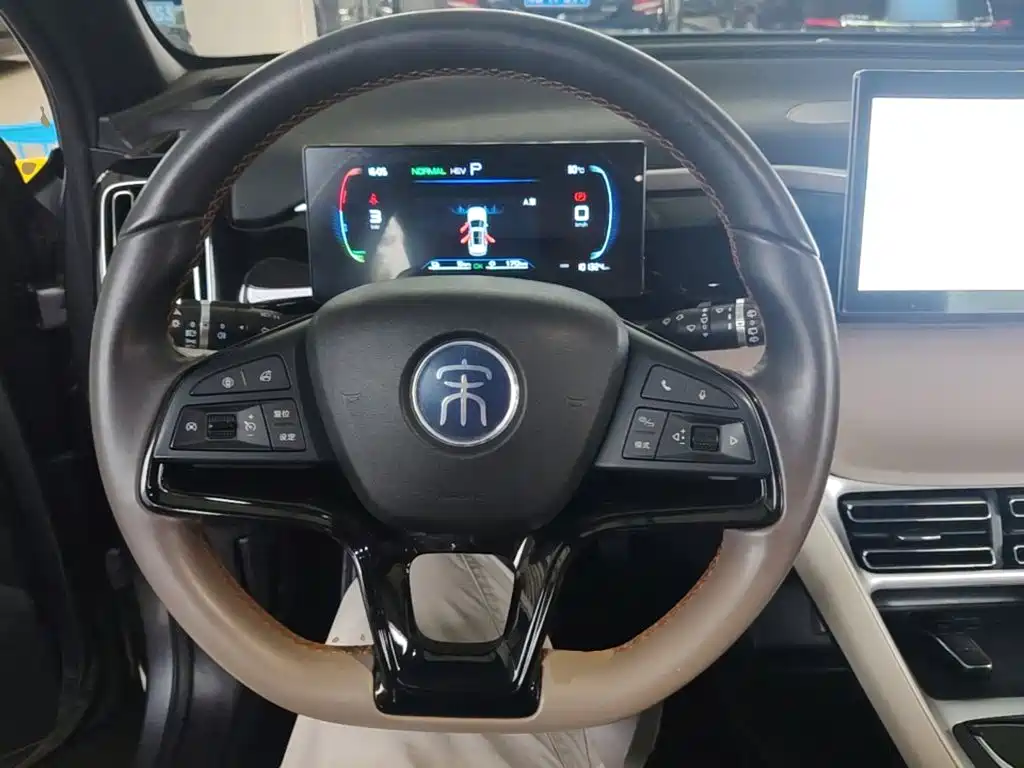 BYD Song Pro New Energy 2024 — фото 7