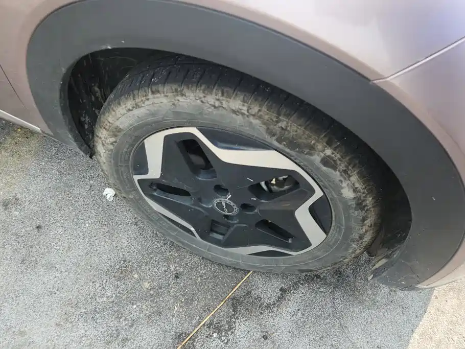 BYD Dolphin 2022