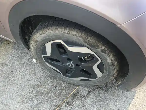 BYD Dolphin 2022