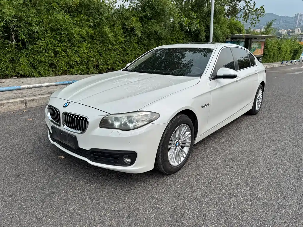 BMW 5 Series 2014