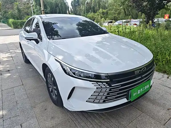 BYD Destroyer 05 2024