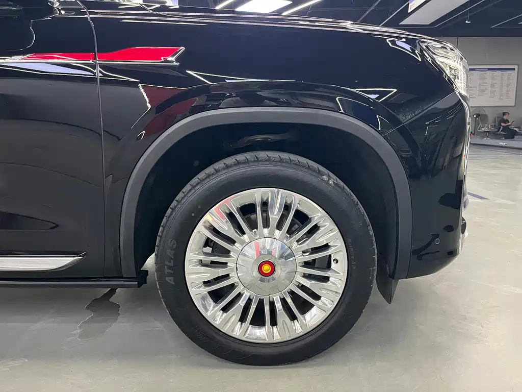 Hongqi Golden Sunflower Guoyao 2022 — фото 16