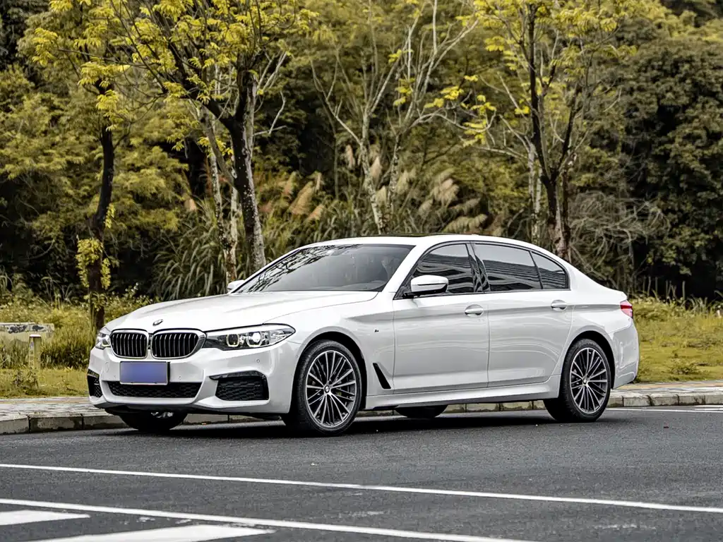 BMW 5 Series 2019