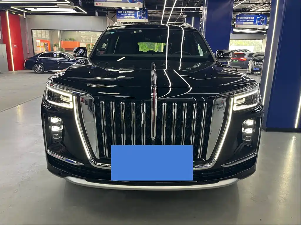 Hongqi Golden Sunflower Guoyao 2022 — фото 2