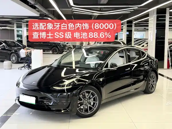 Tesla Model 3 2020