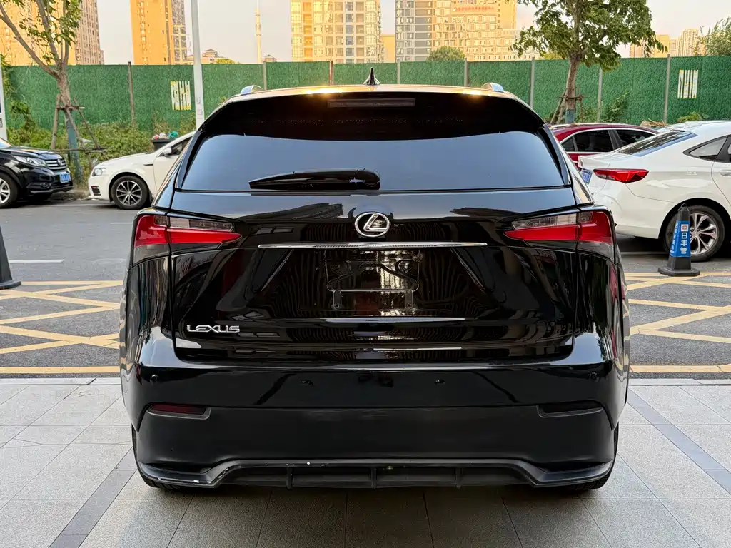 Lexus NX 2016 — фото 11