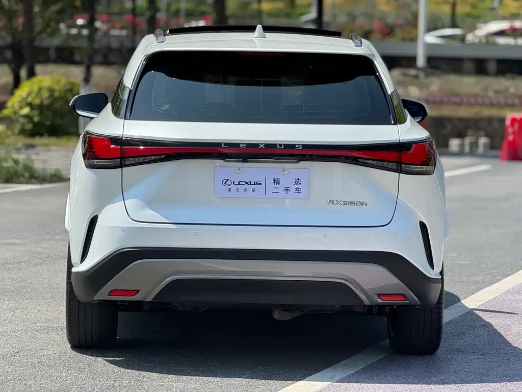 Lexus RX 2023 — фото 14