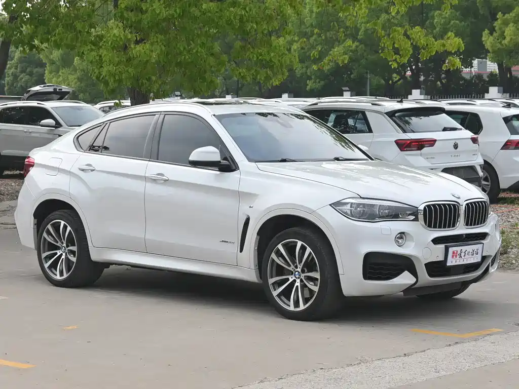 BMW X6 2016 — фото 8