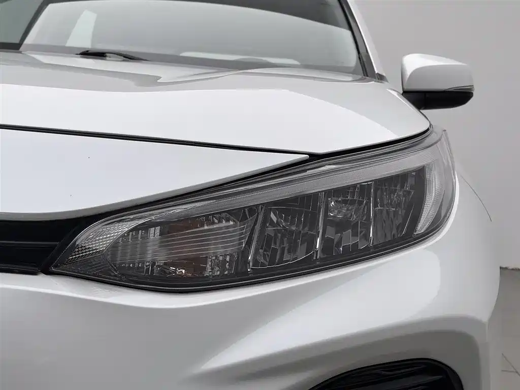 Toyota Wildlander 2020