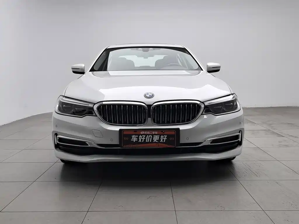BMW 5 Series New Energy 2020