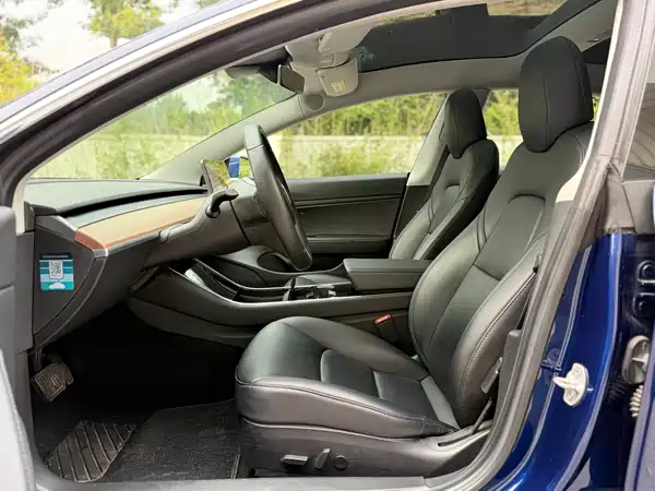 Tesla Model 3 2019