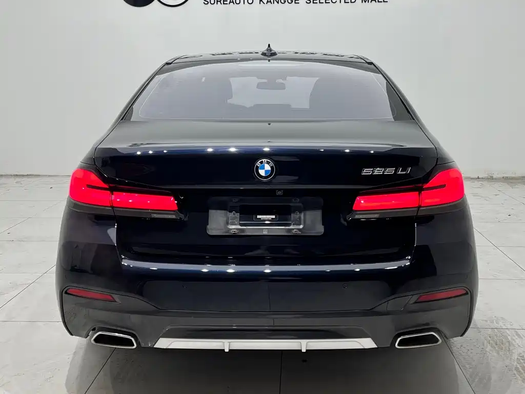 BMW 5 Series 2021