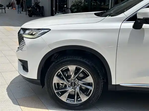 Haval H6 New Energy 2023
