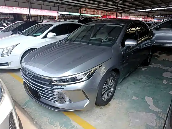 BYD Destroyer 05 2024