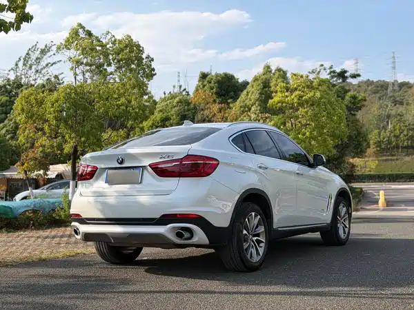 BMW X6 2015