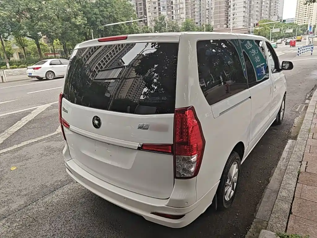 Fengxing Lingzhi PLUS 2024