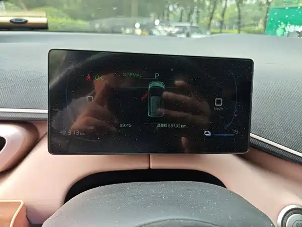 BYD Seagull 2024