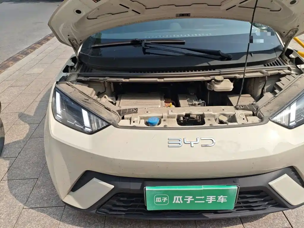 BYD Seagull 2024 — фото 19