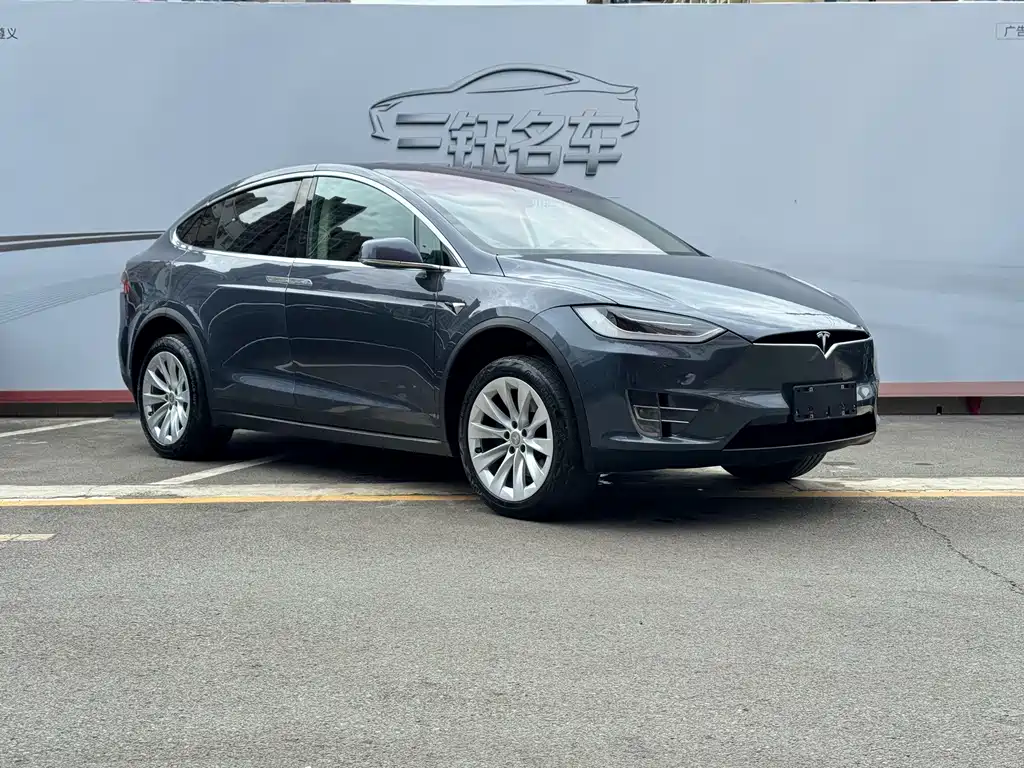 Tesla Model X 2019 — фото 1