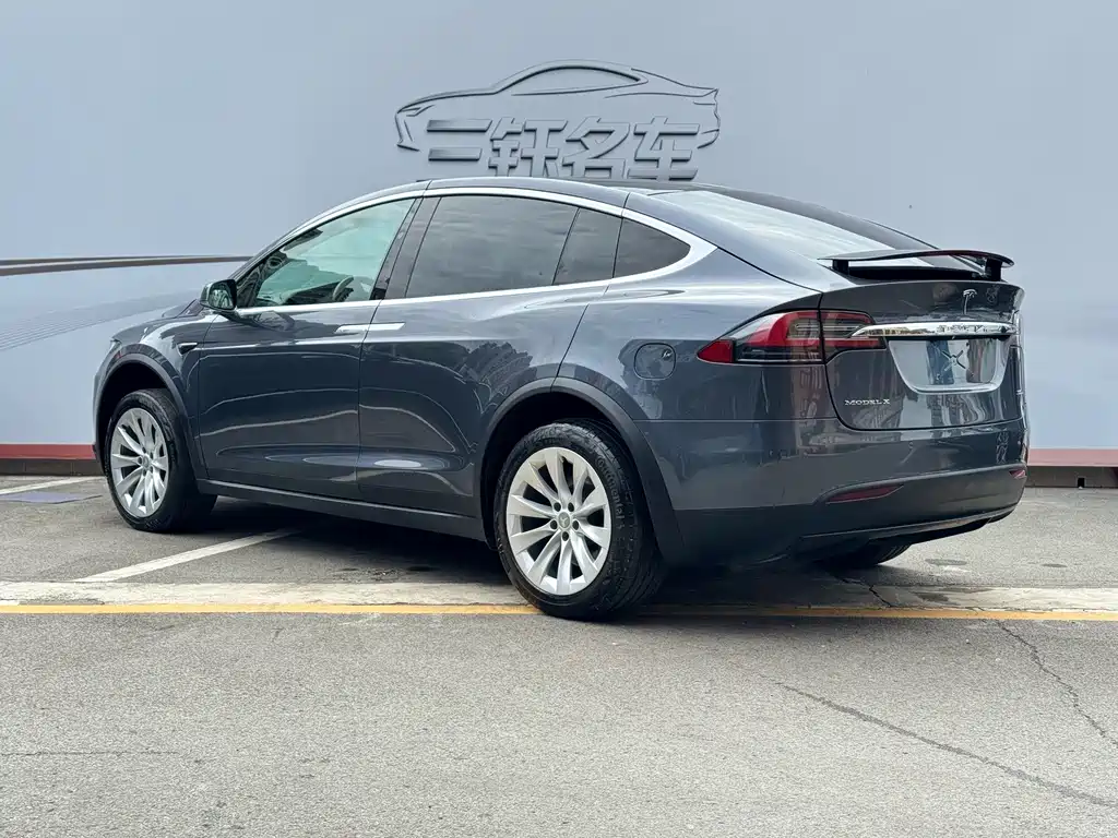 Tesla Model X 2019 — фото 4