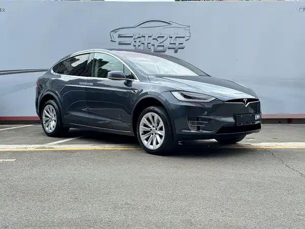 Tesla Model X 2019