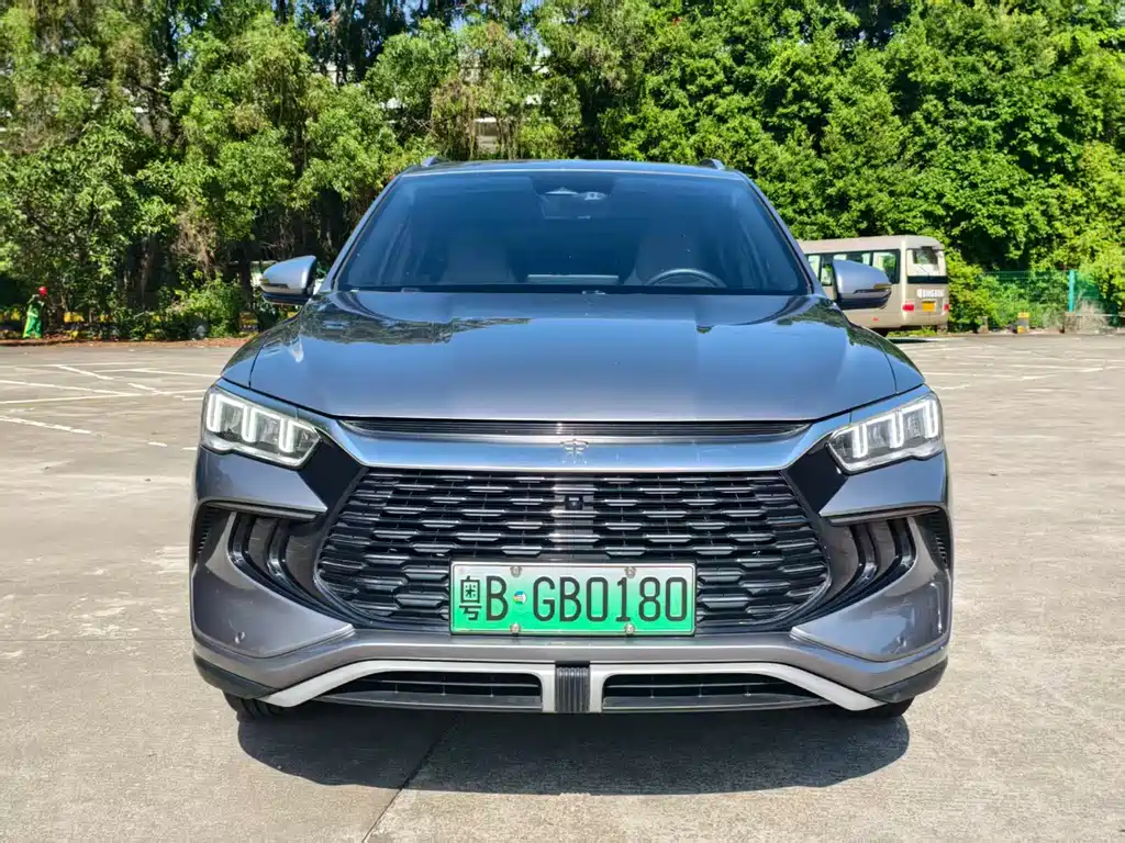 BYD Pro New Energy 2023 — фото 2