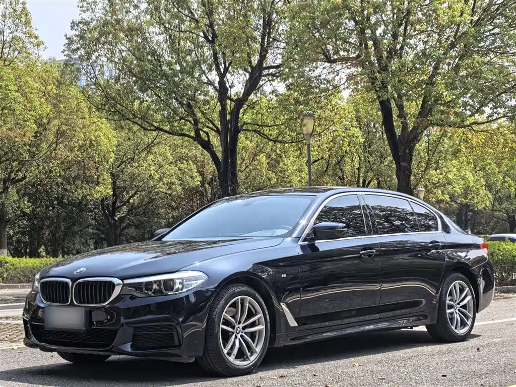 BMW 5 Series 2020 — фото 2