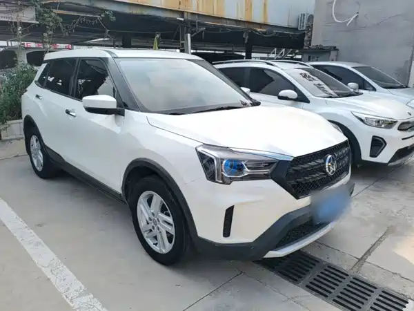 Venucia T60 2020