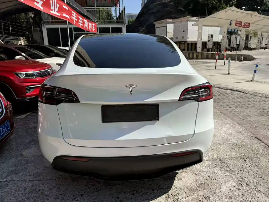 Tesla Model Y 2021 — фото 6