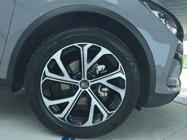 BYD Tang New Energy 2025