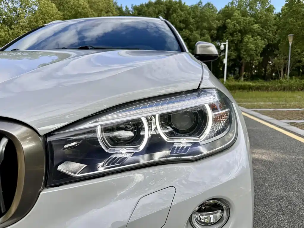 BMW X6 2017 — фото 4