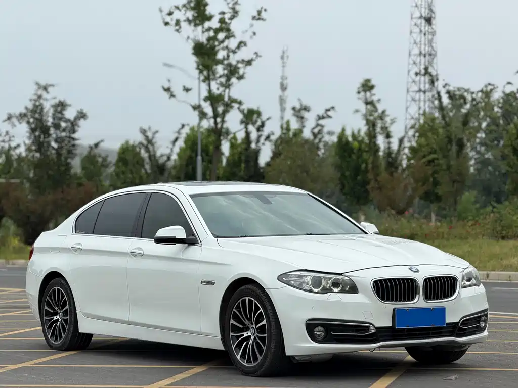BMW 5 Series 2015
