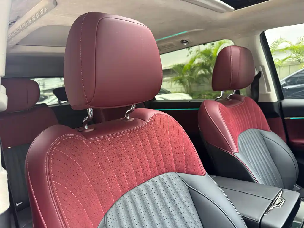 GAC Motor Trumpchi E9 2023 — фото 21