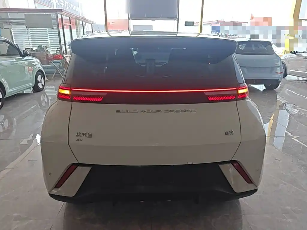 BYD Seagull 2024