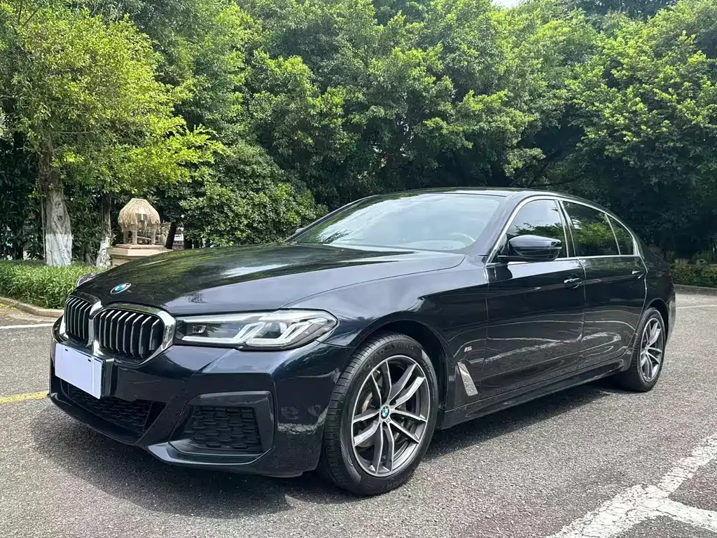 BMW 5 Series 2021