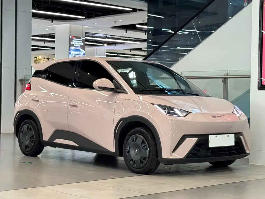 BYD Seagull 2024