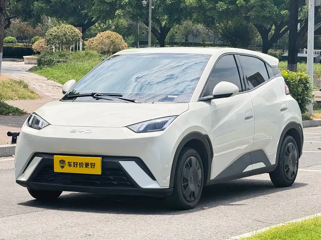 BYD Seagull 2024