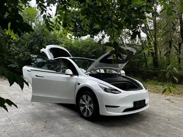 Tesla Model Y 2022