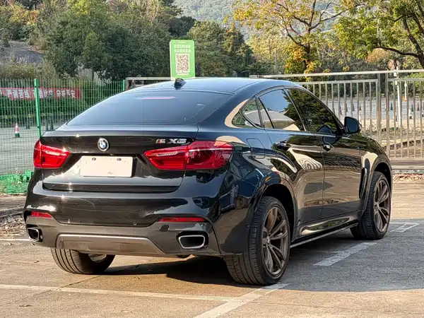 BMW X6 2019