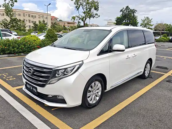 GAC Trumpchi M8 2019