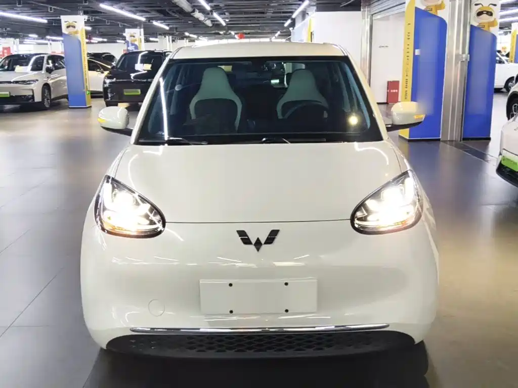 Wuling Bingo 2024
