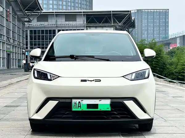 BYD Seagull 2024