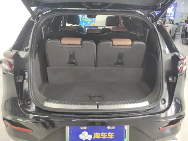 BYD Tang New Energy 2020